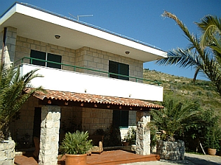photo1