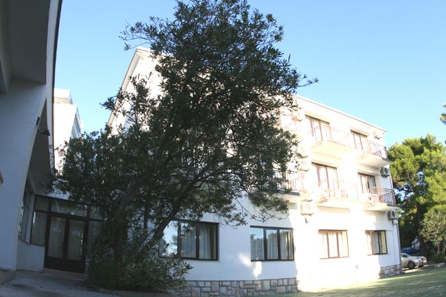 photo3