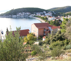 photo2