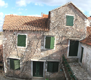 photo2