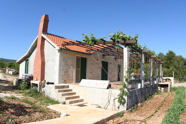 photo4