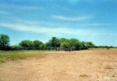 photo2