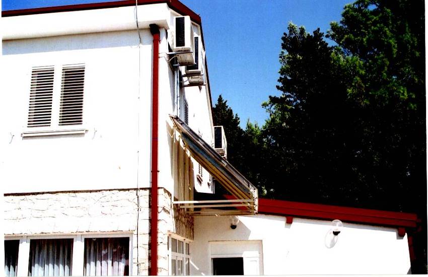 photo1