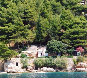 photo1