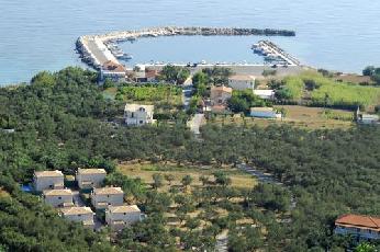 photo1