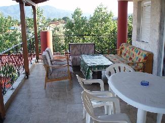 photo6