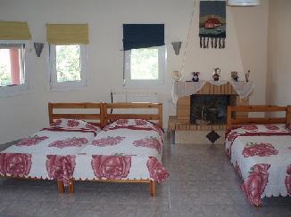 photo7
