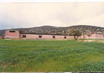 photo2