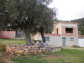 photo4
