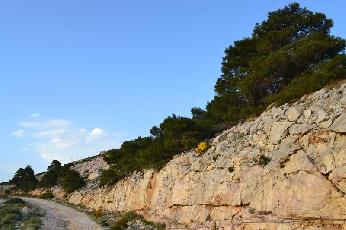 photo1