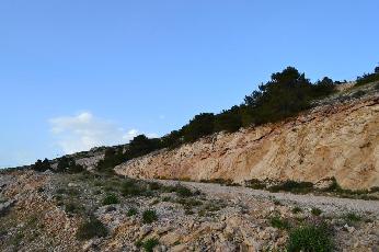 photo2